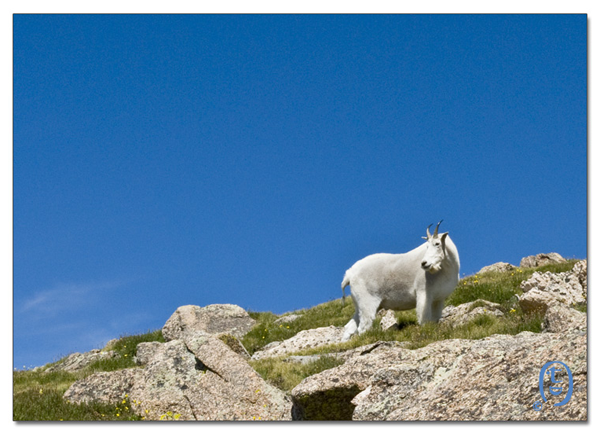 这次是真的吃撑了 ， 一天爬两座14ers_图4