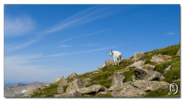 这次是真的吃撑了 ， 一天爬两座14ers_图5