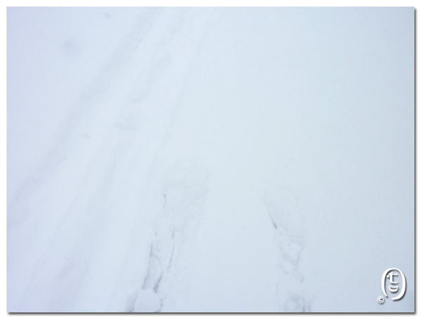 滑雪季度最后一天_图8