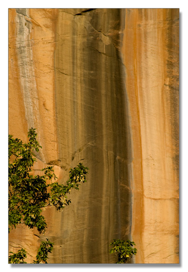 锡安国家公园/Zion NP_图7