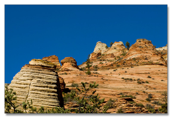 锡安国家公园/Zion NP_图8