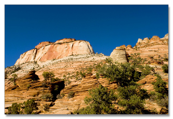 锡安国家公园/Zion NP_图3