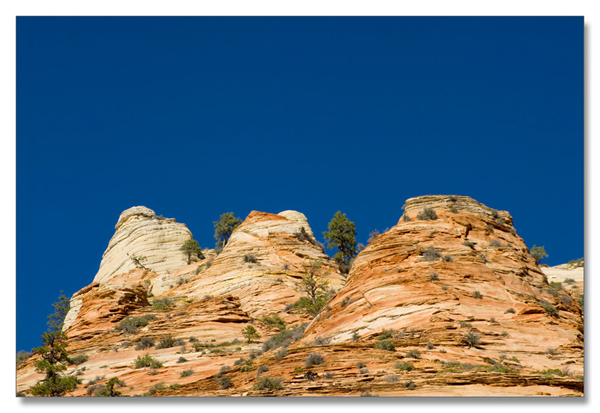 锡安国家公园/Zion NP_图4