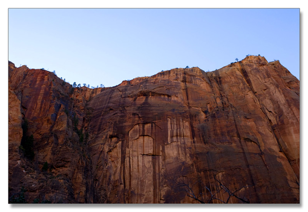 锡安国家公园/Zion NP_图11