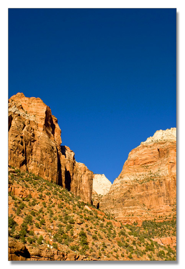 锡安国家公园/Zion NP_图13