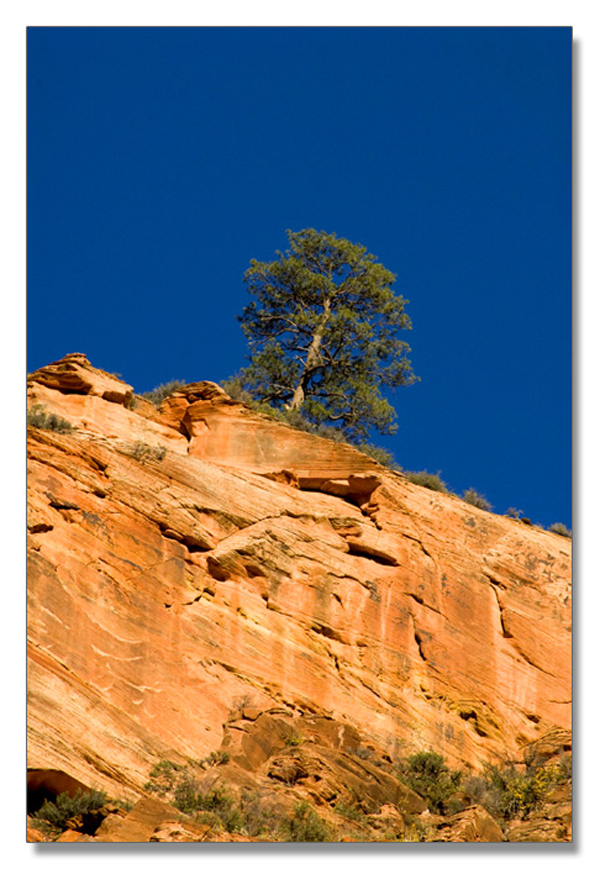 锡安国家公园/Zion NP_图15
