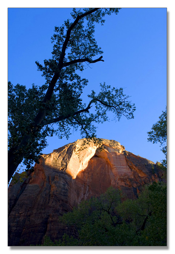 锡安国家公园/Zion NP_图18