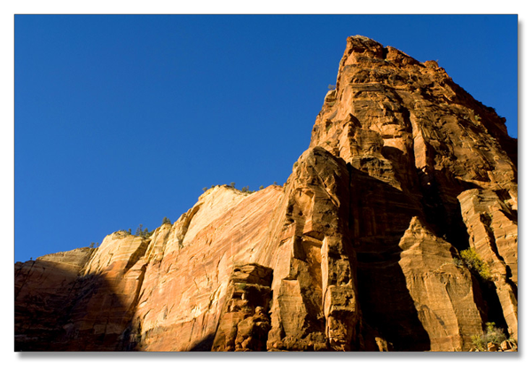 锡安国家公园/Zion NP_图17