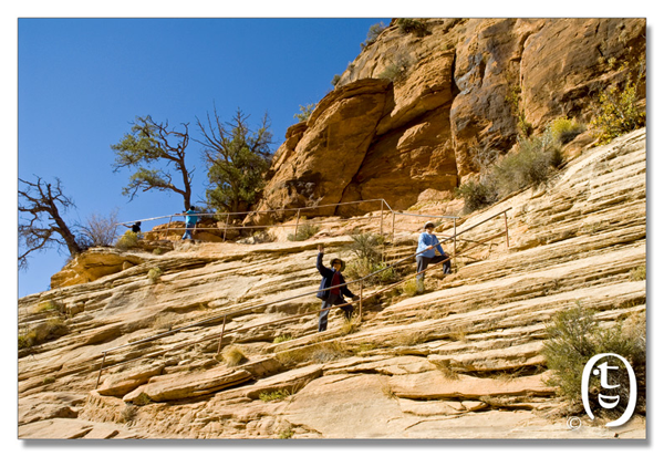 锡安国家公园/Zion NP_图2