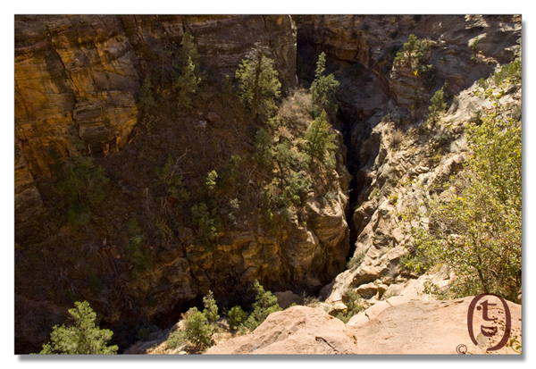 锡安国家公园/Zion NP_图3