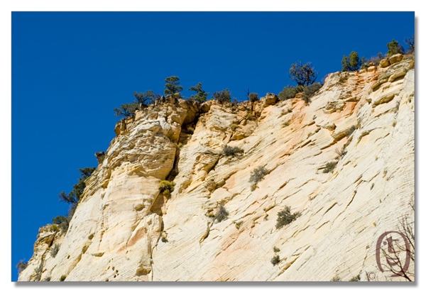 锡安国家公园/Zion NP_图4