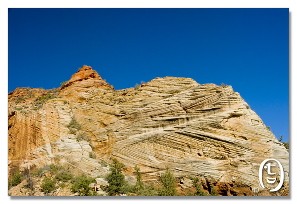 锡安国家公园/Zion NP_图5