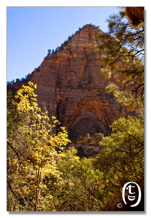 锡安国家公园/Zion NP_图6