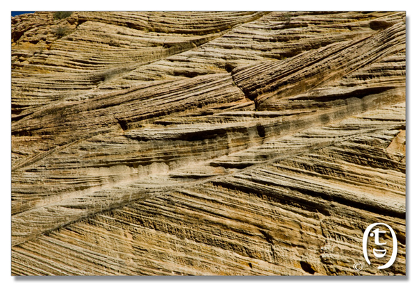 锡安国家公园/Zion NP_图7