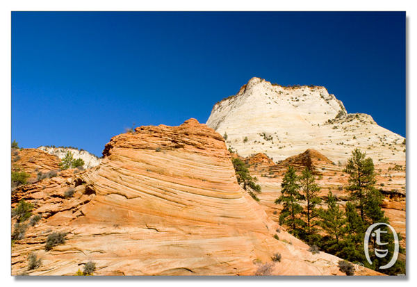 锡安国家公园/Zion NP_图8