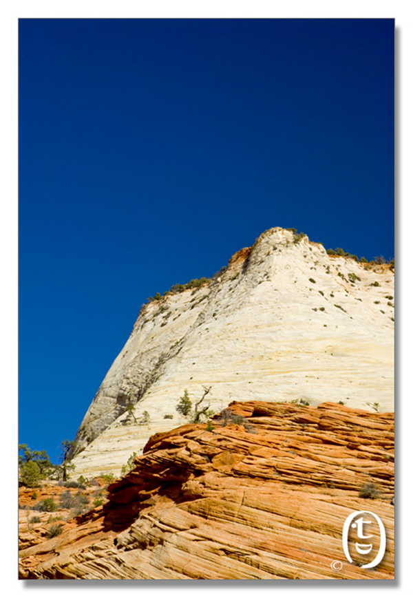 锡安国家公园/Zion NP_图9