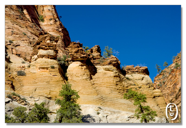 锡安国家公园/Zion NP_图10