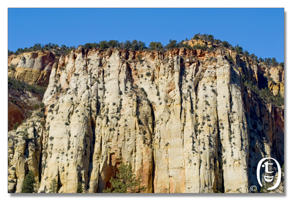 锡安国家公园/Zion NP_图11