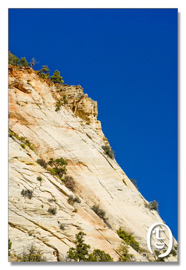 锡安国家公园/Zion NP_图14