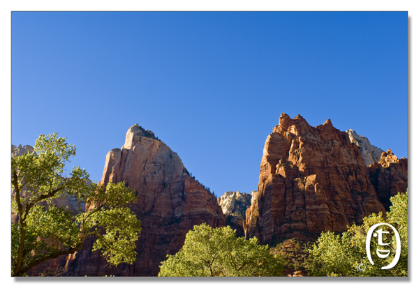锡安国家公园/Zion NP_图15