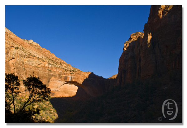 锡安国家公园/Zion NP_图16