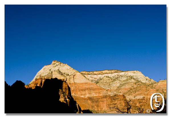 锡安国家公园/Zion NP_图17
