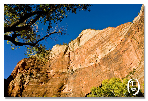 锡安国家公园/Zion NP_图18