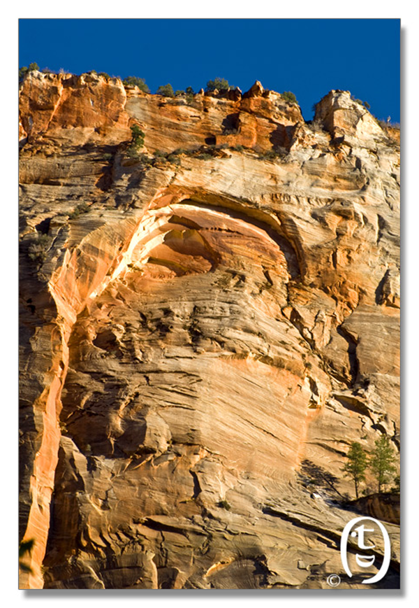 锡安国家公园/Zion NP_图19