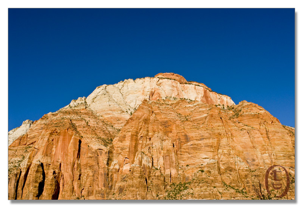 锡安国家公园/Zion NP_图20