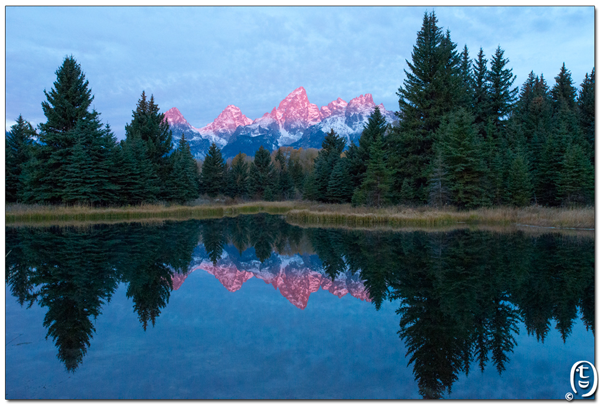 天要下雨，娘要嫁人，政府要关门，百姓被逼出门 － Grand Teton NP_图4