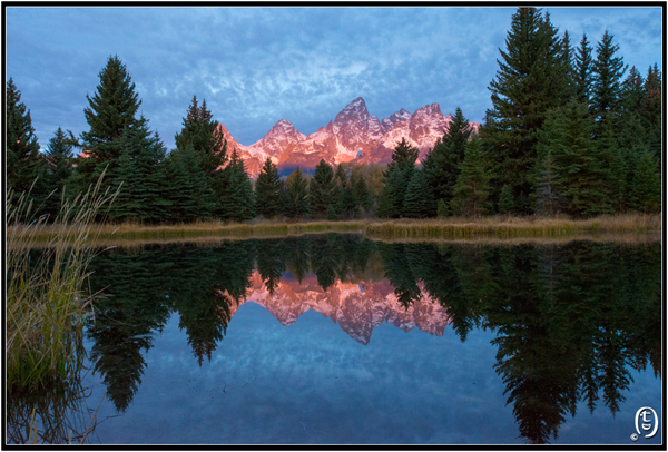 天要下雨，娘要嫁人，政府要关门，百姓被逼出门 － Grand Teton NP_图5