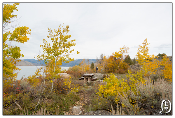 天要下雨，娘要嫁人，政府要关门，百姓被逼出门 － Grand Teton NP_图7