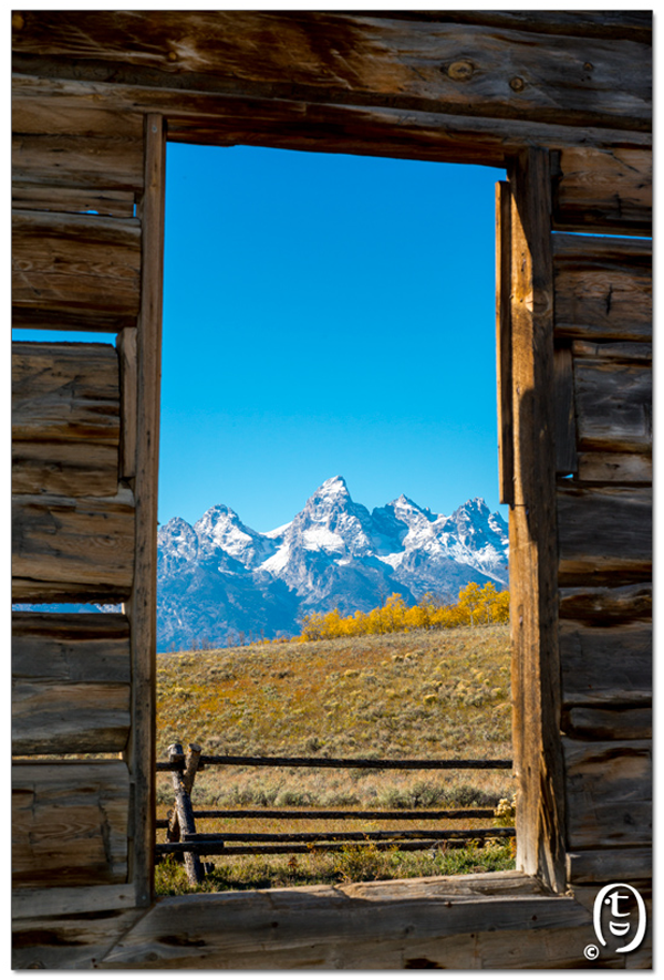 天要下雨，娘要嫁人，政府要关门，百姓被逼出门 － Grand Teton NP_图12