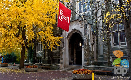 天普大学