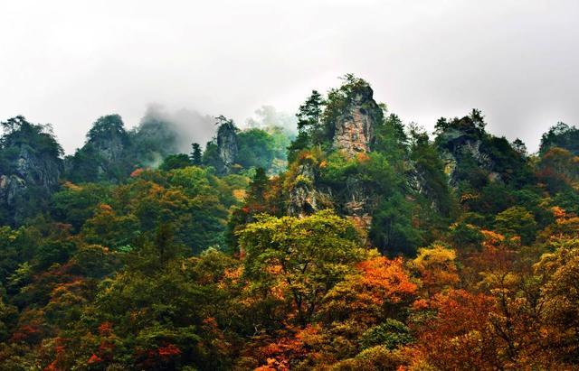 到重庆城口赏如画风景 品飘香瓜果