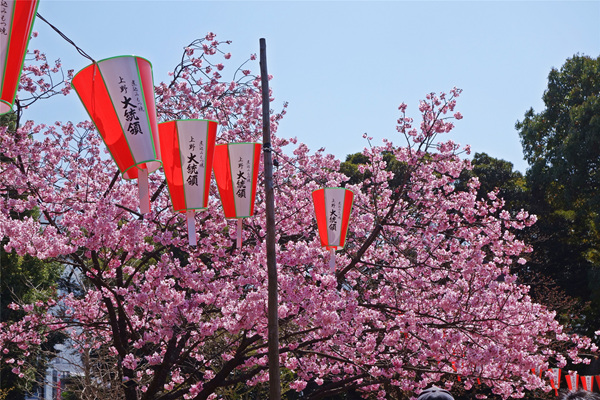 2019日本东京赏樱花的地方有哪些？2019年日本赏樱花地推荐